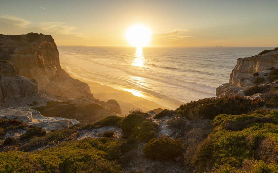 Why Cyprus? Cyprus at a Glance